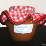 chat incontra gente zamparini