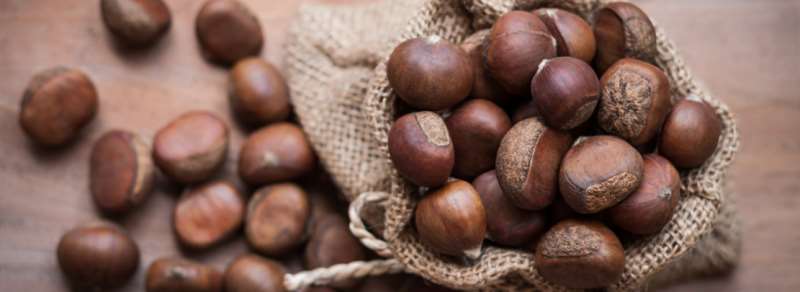 Come conservare le castagne - Misya.info
